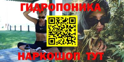 мяу мяу мука Будённовск