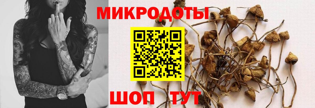 Псилоцибиновые грибы прущие грибы  Вход с VPN  даркнет сайт  Старая Купавна  Галлюциногенные грибы прущие грибы 