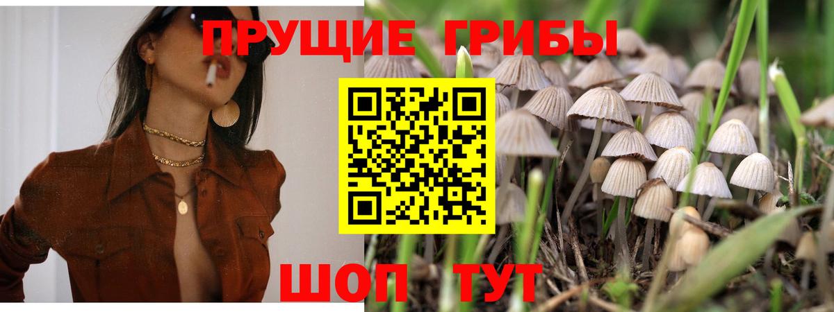 Псилоцибиновые грибы прущие грибы Старая Купавна